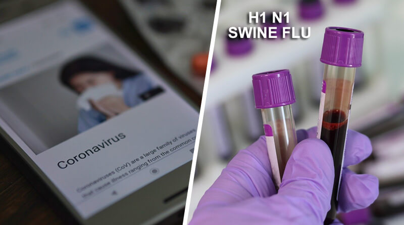 coronavirus swine flu