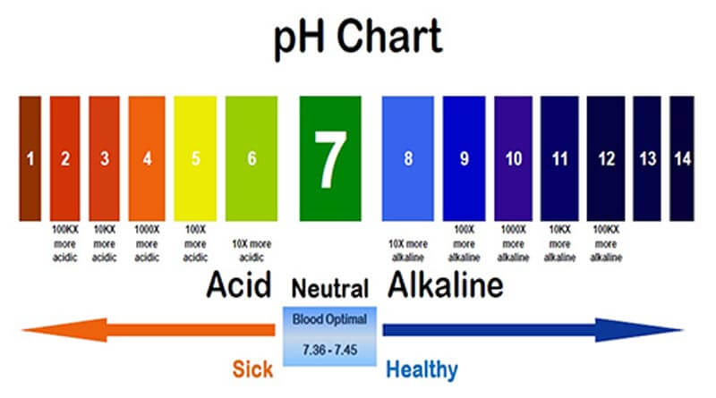 pH scale chart