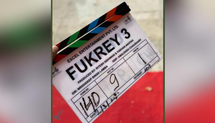 fukrey 3