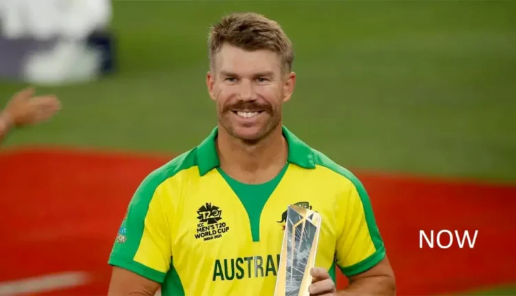 David Warner