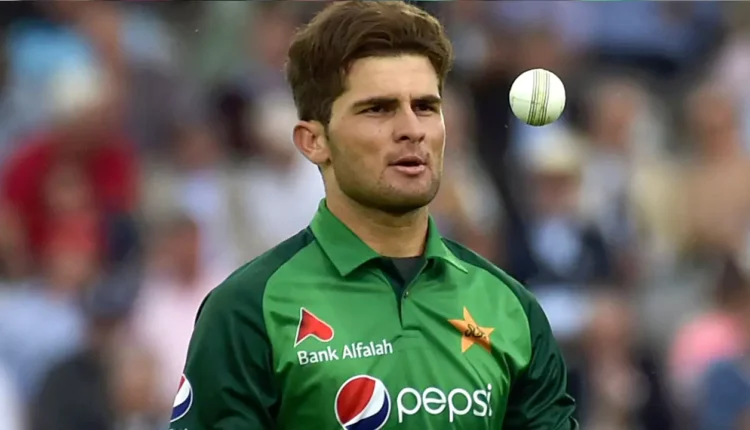 Shaheen Afridi